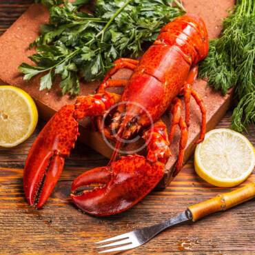 Seafood and international trade law